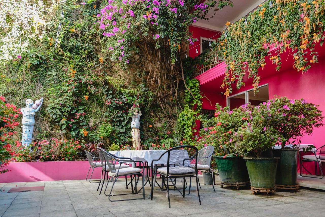Casa De Las Bugambilias B&B Oaxaca Luaran gambar